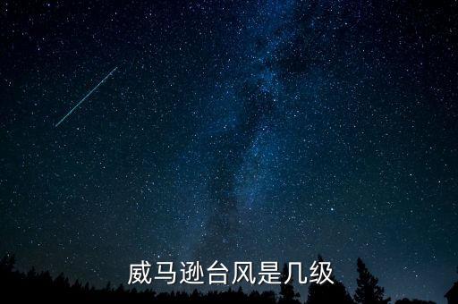 威馬遜臺風是幾級