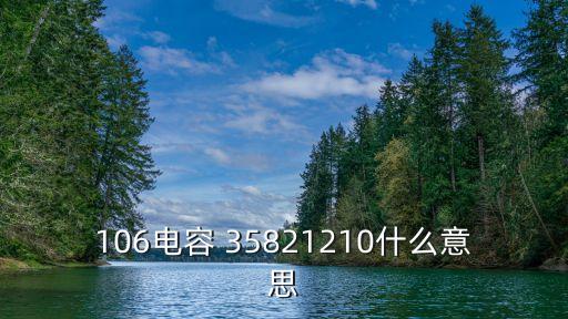 106電容 35821210什么意思