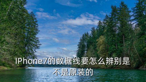 IPhone7的數(shù)據(jù)線要怎么辨別是不是原裝的