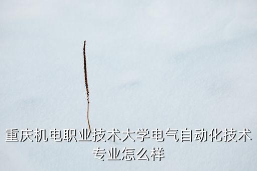 重慶機電職業(yè)技術大學電氣自動化技術專業(yè)怎么樣