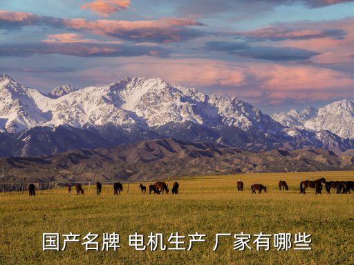 泰州電機(jī)自動(dòng)化設(shè)備廠家,泰州唯升自動(dòng)化設(shè)備有限公司