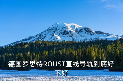 德國(guó)羅思特ROUST直線導(dǎo)軌到底好不好