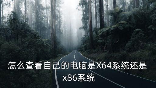 x86和x64