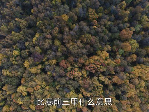 比賽前三甲什么意思