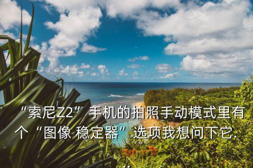 “索尼Z2”手機的拍照手動模式里有個“圖像 穩(wěn)定器”選項我想問下它...
