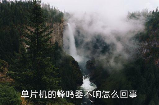 自動化設(shè)備報警蜂鳴器不響,關(guān)于蜂鳴器你必須知道的事