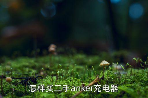 怎樣買二手anker充電器