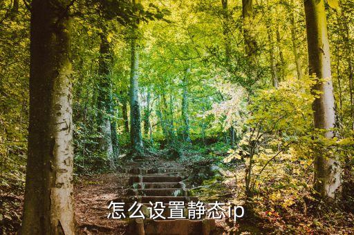 怎么設(shè)置靜態(tài)ip