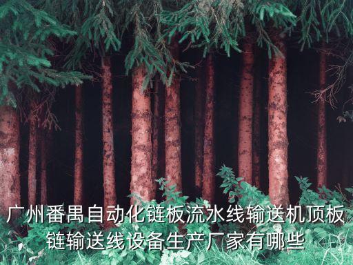 廣州番禺自動(dòng)化鏈板流水線輸送機(jī)頂板鏈輸送線設(shè)備生產(chǎn)廠家有哪些