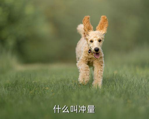 什么叫沖量