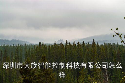 深圳市大族智能控制科技有限公司怎么樣