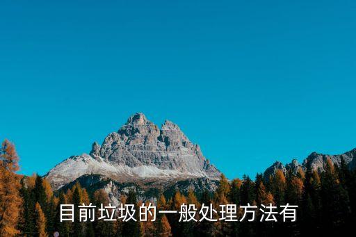 目前垃圾的一般處理方法有