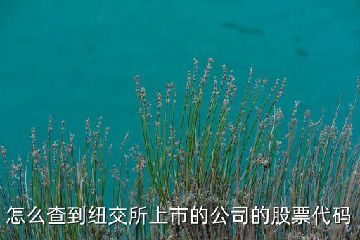 怎么查到紐交所上市的公司的股票代碼
