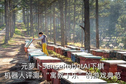 元蘿卜SenseRobotAI下棋機(jī)器人評(píng)測(cè):“寓教于樂(lè)”的游戲典范