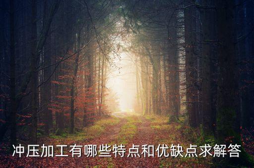 沖壓加工有哪些特點和優(yōu)缺點求解答