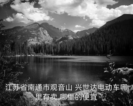 江蘇省南通市觀音山 興世達(dá)電動(dòng)車哪里有賣 哪里的便宜