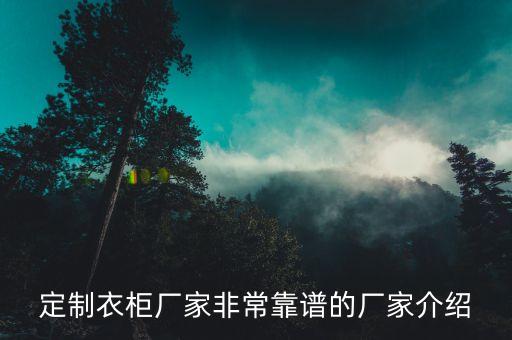 定制衣柜廠家非?？孔V的廠家介紹