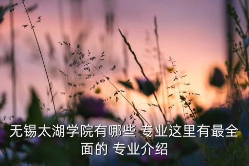 無錫太湖學(xué)院有哪些 專業(yè)這里有最全面的 專業(yè)介紹