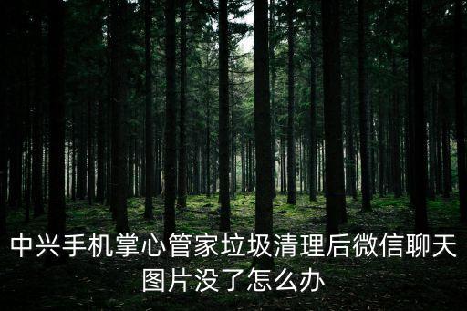 中興清理數(shù)據(jù)線,中興手機內(nèi)存空間不足怎么清理?