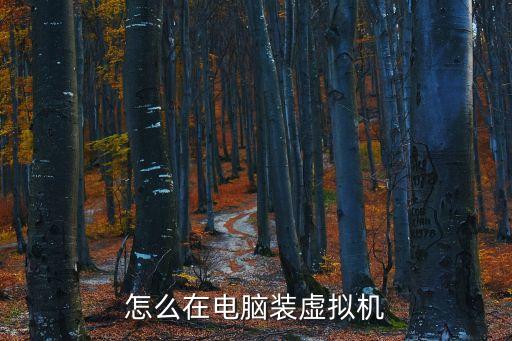 怎么在電腦裝虛擬機(jī)