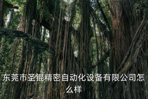 東莞市圣錕精密自動(dòng)化設(shè)備有限公司怎么樣