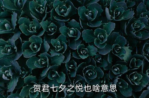 賀君