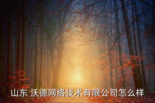 山東 沃德網(wǎng)絡(luò)技術(shù)有限公司怎么樣