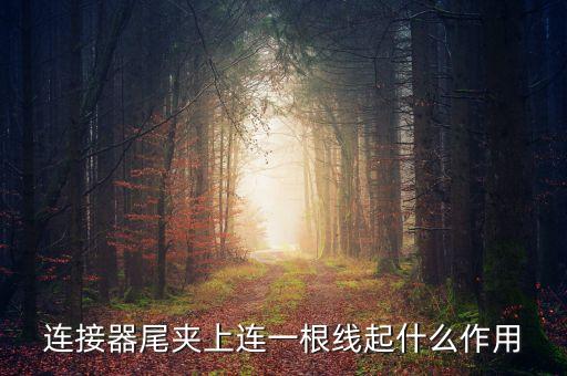 連接器尾夾上連一根線起什么作用