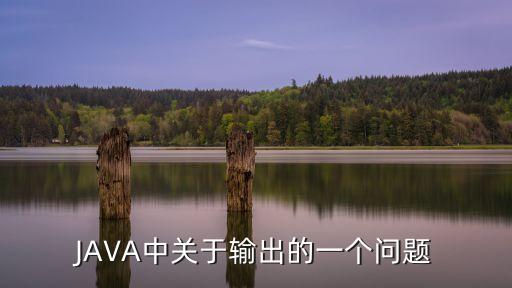 JAVA中關(guān)于輸出的一個(gè)問題
