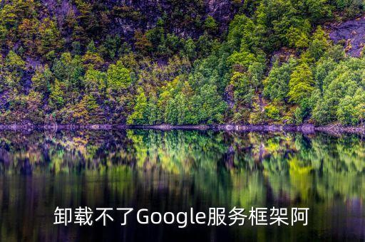 華為谷歌服務框架，華為p9怎樣安裝google play