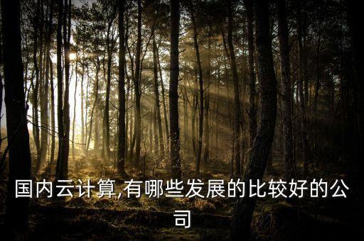 國內云計算,有哪些發(fā)展的比較好的公司
