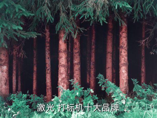 激光 打標(biāo)機(jī)十大品牌