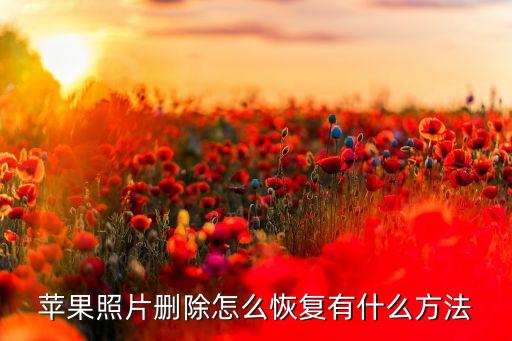 蘋果照片刪除怎么恢復(fù)有什么方法