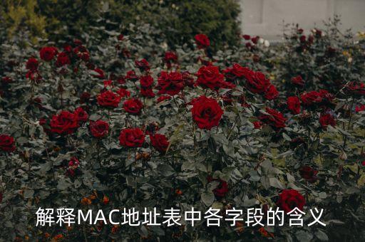 解釋MAC地址表中各字段的含義