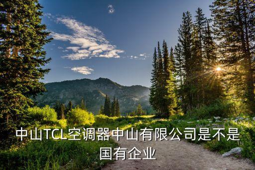 中山TCL空調(diào)器中山有限公司是不是國有企業(yè)
