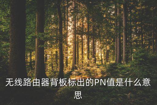 pn碼，內(nèi)存中的PN碼標(biāo)示是干什么用的PN碼是什么請幫我解釋一下  搜