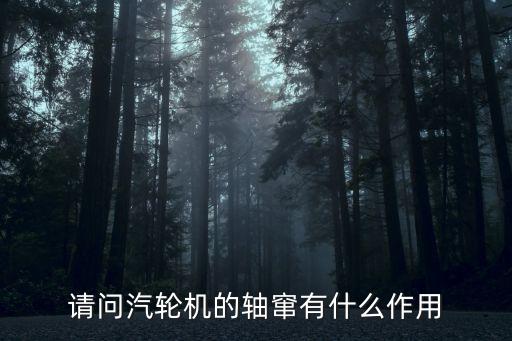 請問汽輪機的軸竄有什么作用