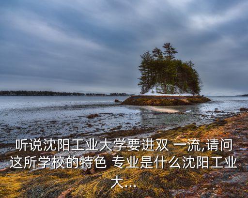 自動(dòng)化雙一流專(zhuān)業(yè)評(píng)分,雙一流 專(zhuān)業(yè) 評(píng)分