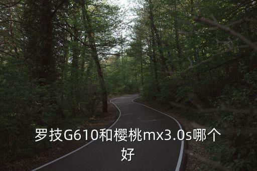 羅技G610和櫻桃mx3.0s哪個(gè)好