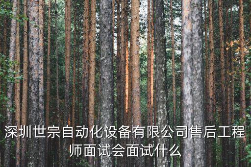 深圳世宗自動(dòng)化設(shè)備有限公司售后工程師面試會(huì)面試什么
