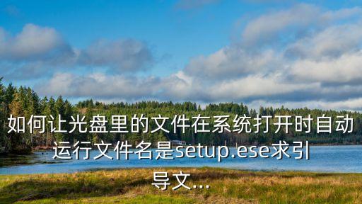 光盤自動運(yùn)行菜單制作工具,中文光盤啟動菜單制作工具
