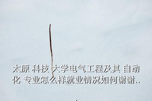 太原 科技 大學(xué)電氣工程及其 自動化 專業(yè)怎么樣就業(yè)情況如何謝謝...