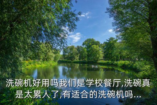 洗碗機好用嗎我們是學校餐廳,洗碗真是太累人了,有適合的洗碗機嗎...