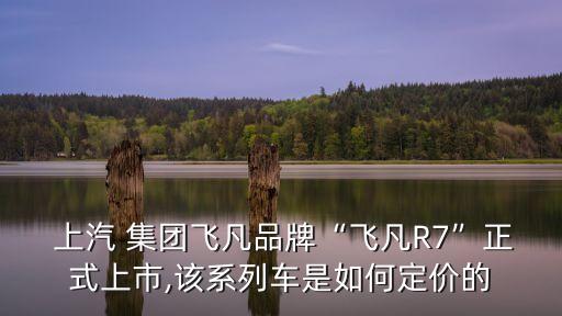  上汽 集團(tuán)飛凡品牌“飛凡R7”正式上市,該系列車是如何定價的