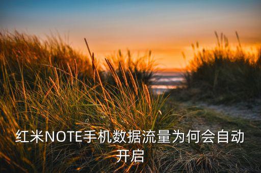 手機(jī)自動(dòng)打開(kāi)數(shù)據(jù)開(kāi)關(guān),手機(jī)上網(wǎng)開(kāi)關(guān)自動(dòng)打開(kāi)四種情況會(huì)導(dǎo)致