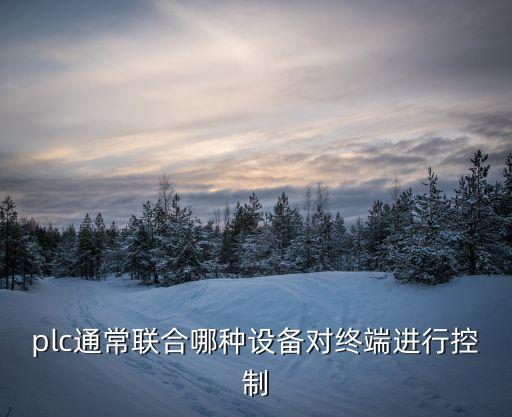 plc通常聯(lián)合哪種設(shè)備對終端進行控制