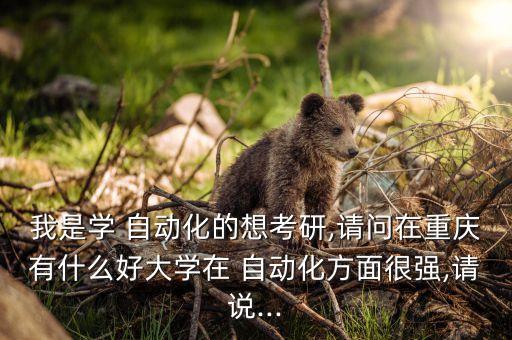 重慶大學(xué)自動化專業(yè)能力