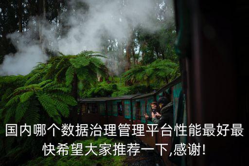 國內(nèi)哪個數(shù)據(jù)治理管理平臺性能最好最快希望大家推薦一下,感謝!