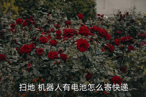 掃地機器人可以順豐嗎