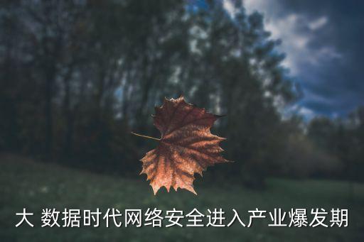 大 數(shù)據(jù)時代網(wǎng)絡安全進入產業(yè)爆發(fā)期